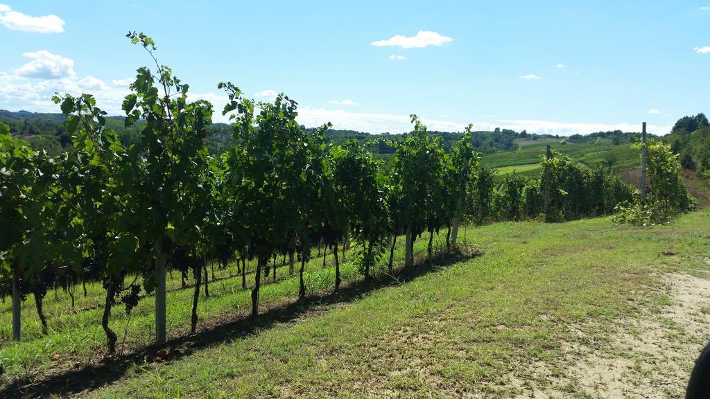 Rocchetta Tanaro Cascina Rollone 빌라 외부 사진